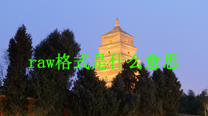 網(wǎng)頁設(shè)計(jì)raw格式圖片能用嗎?raw是什么格式?